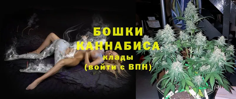 продажа наркотиков  Аркадак  МАРИХУАНА OG Kush 